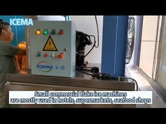 Otel Kullanımı İçin Ticari Tatlı Su Yaprak Buz Makinesi Küçük Yaprak Buz Makinesi Yaprak Buz Tesisi