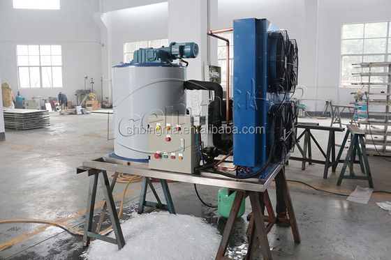 30 Ton Tatlı Su Yaprak Buz Makinesi 220V Otomatik endüstriyel