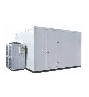 Balık Soğuk Oda Dondurucu Oda Chiller odalarında yürüyüş
