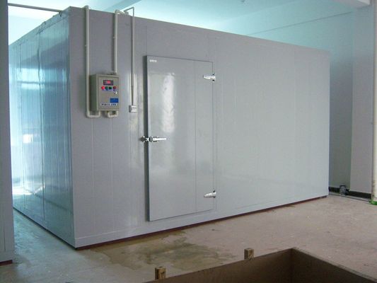 Balık Soğuk Oda Dondurucu Oda Chiller odalarında yürüyüş