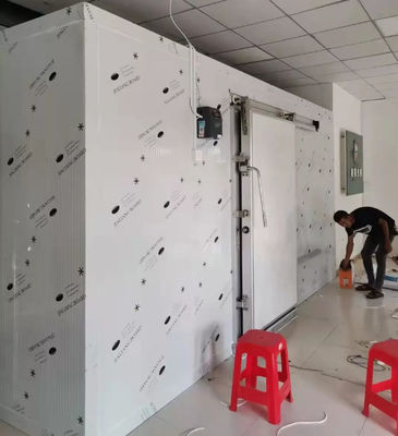 Ticari Soğuk oda fiyatı taze meyve / sebze / balık / nakliye için dondurucu soğuk depolama 20ft konteyner yürüyüş