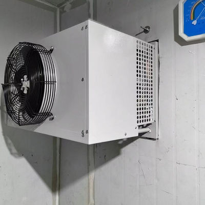 İyi fiyat Endüstriyel Soğuk Oda Dondurucu Evaporatif Yoğuşmalı Ünite çevrimiçi