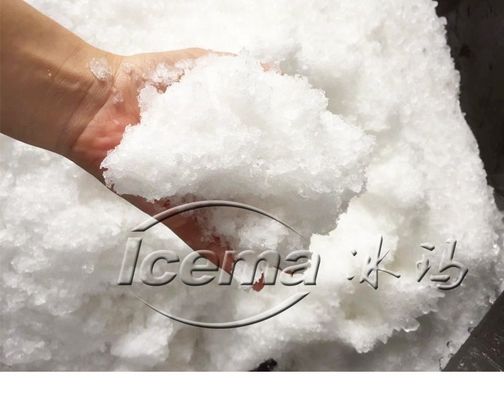 9 T/saat Kapasite Taze Tutmak İçin Taşınabilir Paslanmaz Çelik ICEMA Mini Buz Makinesi