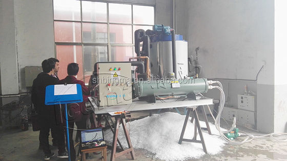 Endüstriyel Balıkçılık İşlemlerinde Yüksek Üretimlilik İçin Yumurtalı Buz Makinesi